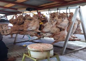 توزیع گوشت دربین بیماران دیالیزی نیازمندسراسر استان گیلان در آستانه عید نوروز1400